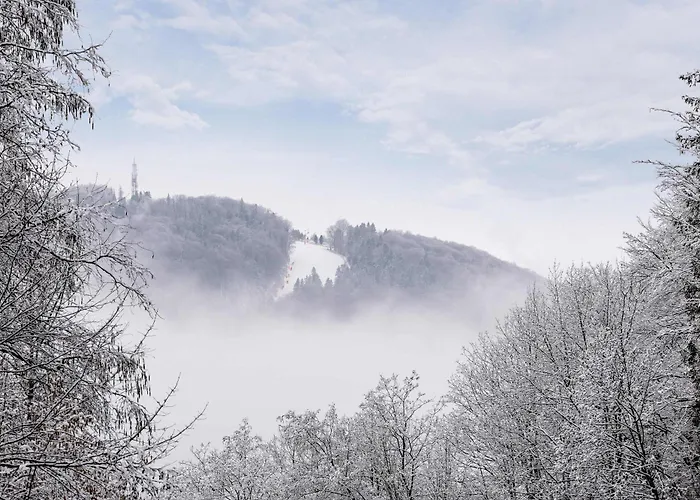 Przytulne W Gorskim Zakatku Wisly By Renters Apartmán