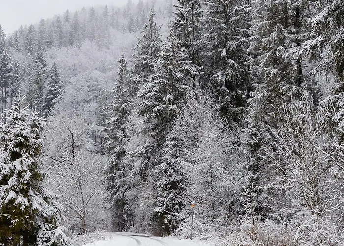 Przytulne W Gorskim Zakatku Wisly By Renters * Visla